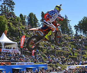 Cairoli