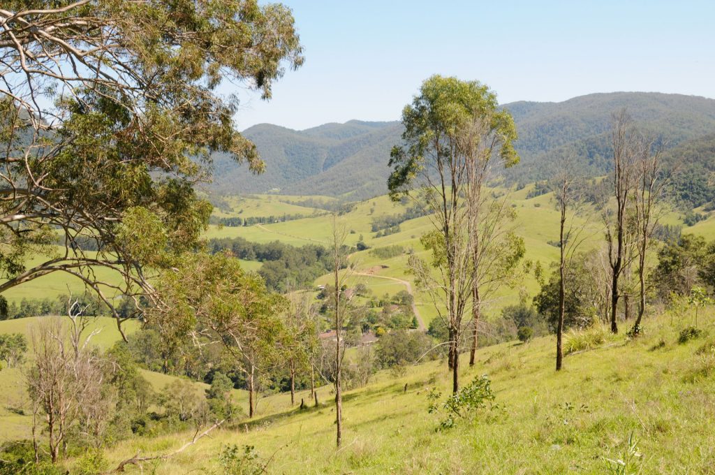 the-oxley-highway-scenery-grazing-land with mountains in background