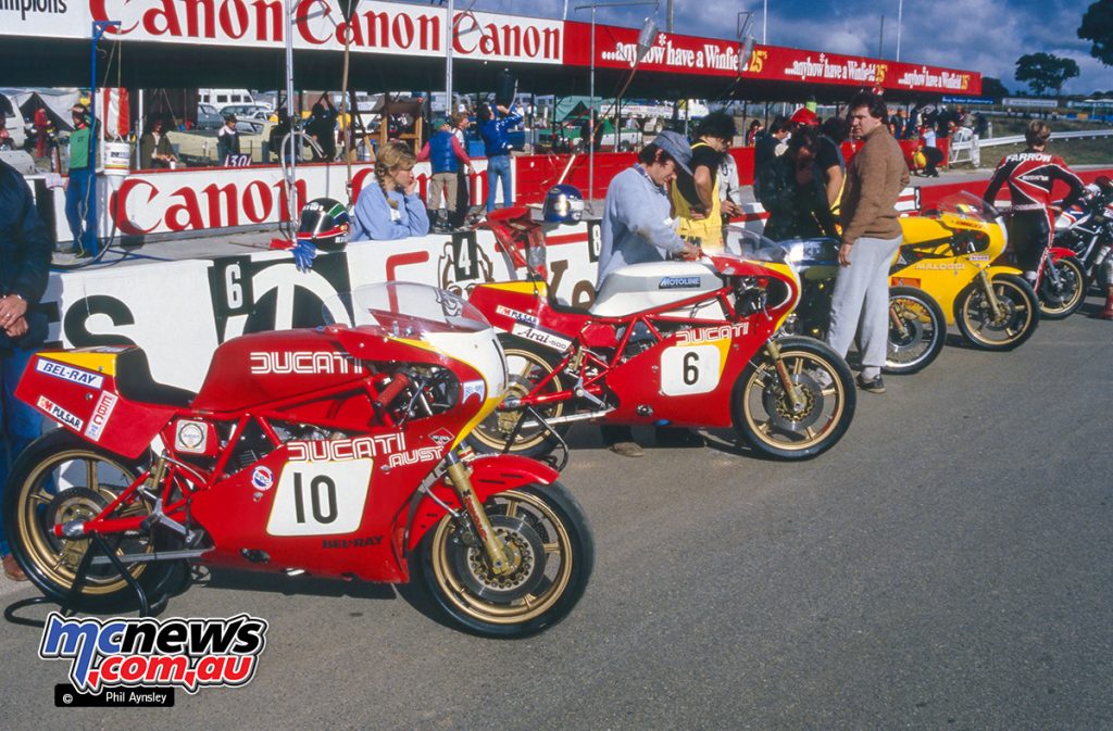 Bathurst 1984 - Line up of Ducatis before the start of the Arai 500.