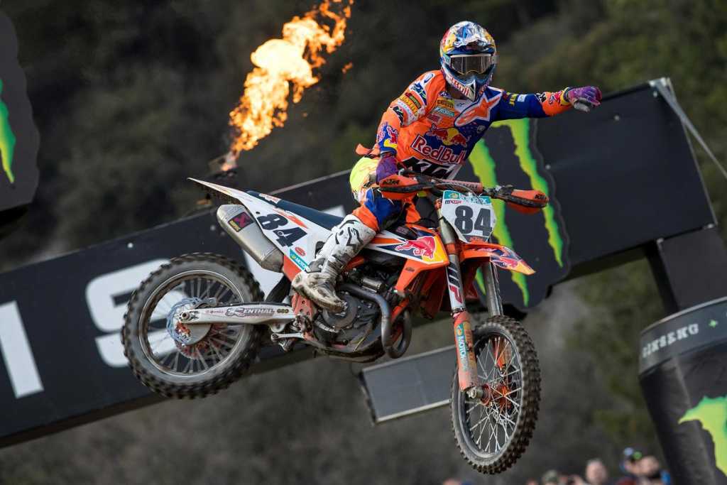 Herlings