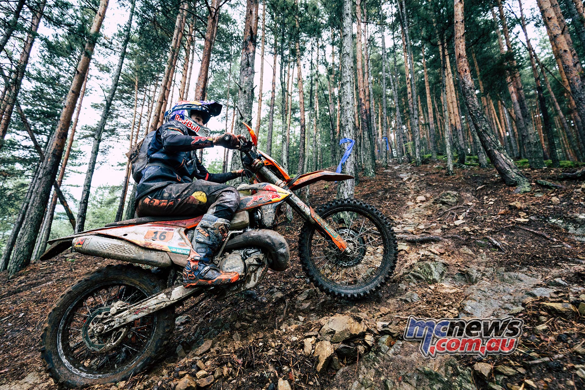 Red Bull Romaniacs Final Taddy Blazusiak Red Bull Romaniacs Final Taddy Blazusiak
