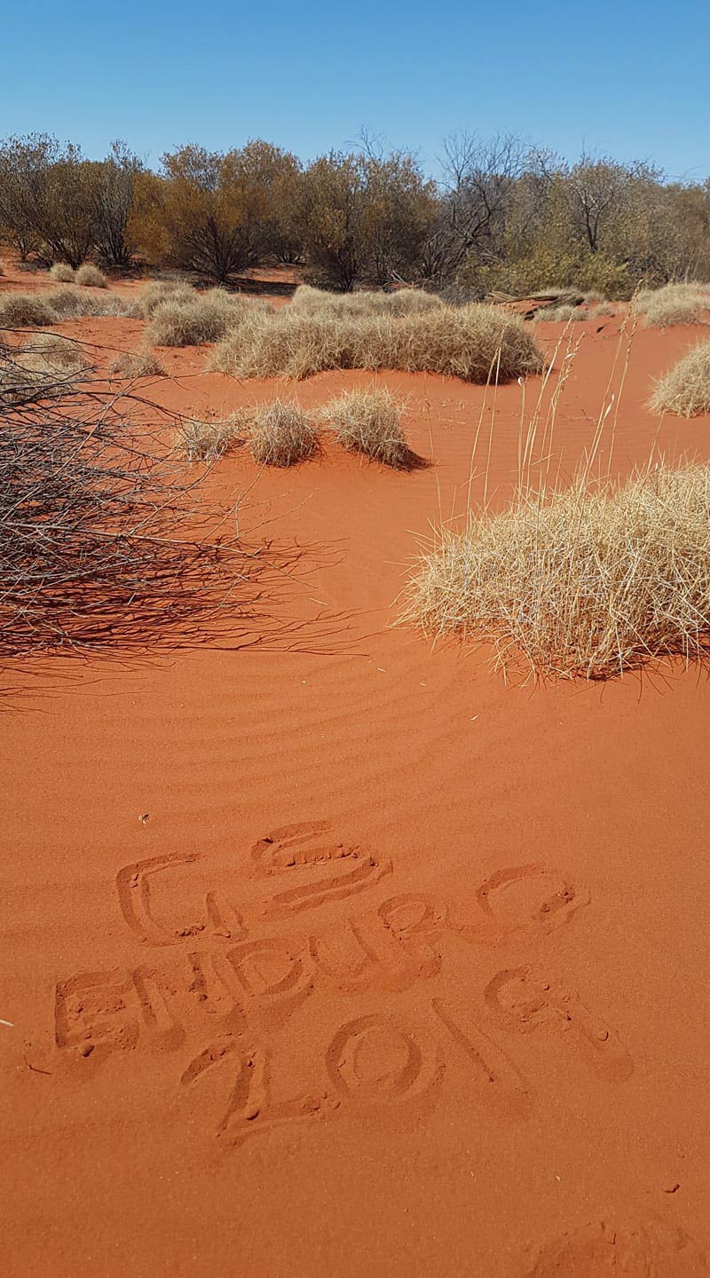 BMW GS Safari Enduro Shaun Terblanche GS Safari Enduro WrittenSand BMW GS Safari Enduro Shaun Terblanche GS Safari Enduro WrittenSand