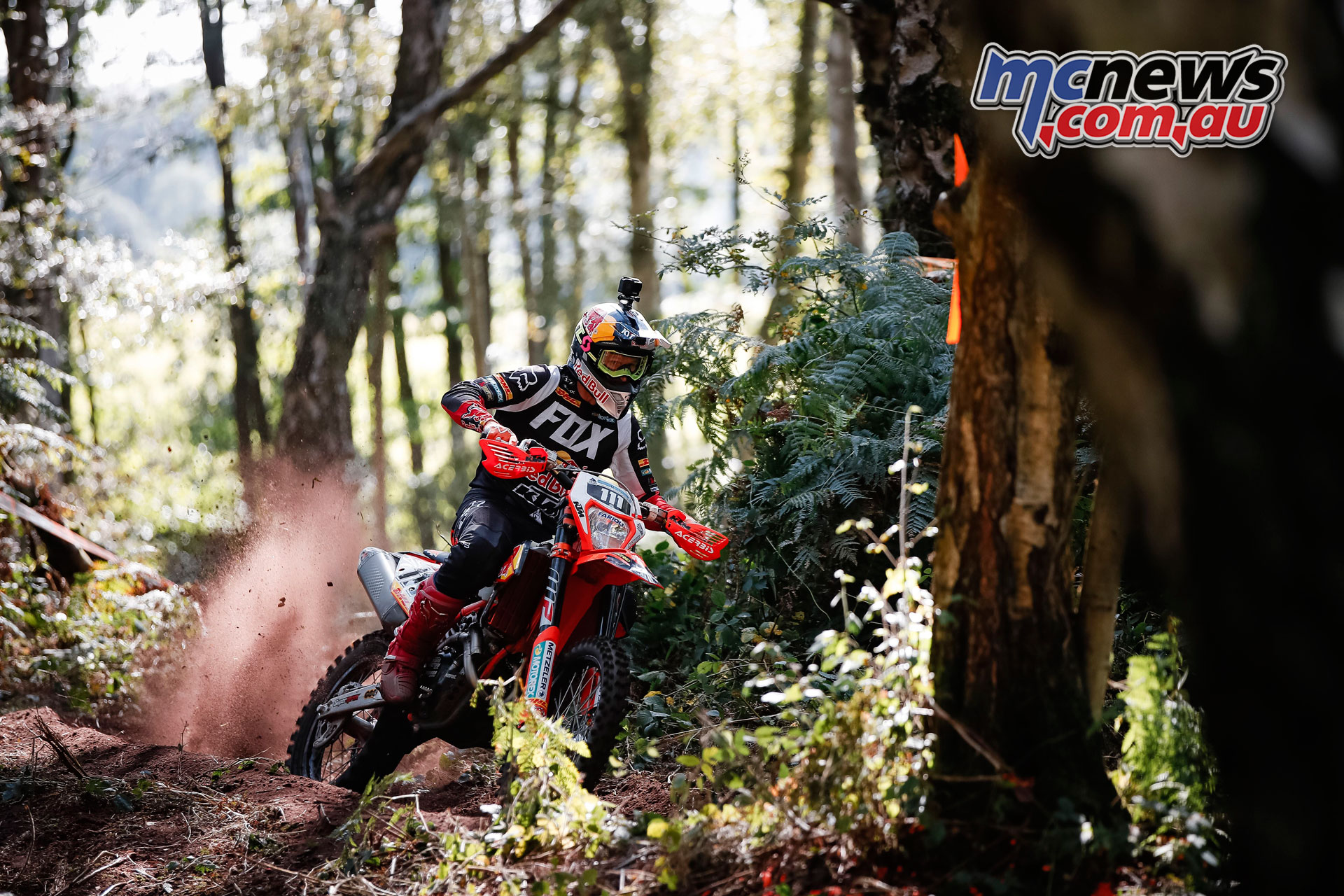 WESS Hawkstone Park XC Taddy Blazusiak WESS Hawkstone Park XC Taddy Blazusiak