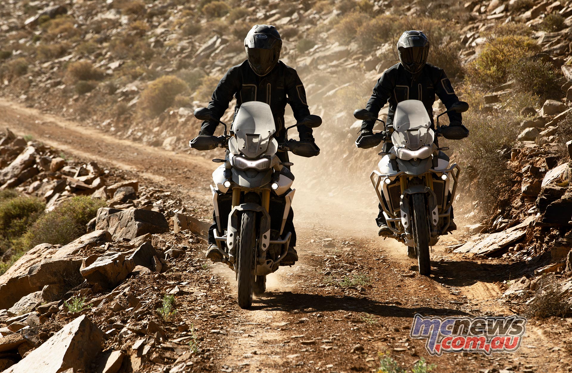 Triumph Tiger Rally Triumph Tiger Rally