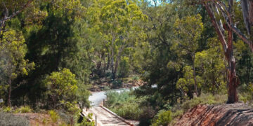 Check out some motorcycle travel ideas with The Bear