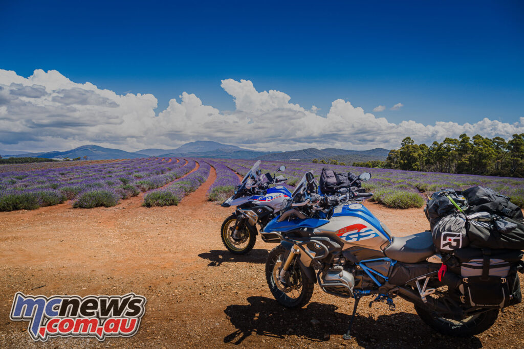 Petra and Jamies' BMWs at Bridestowe Lavender Farm 