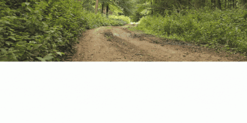 Torrot | Free Upgrade to Fast Charger!⚡