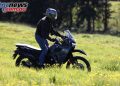 2024 Kawasaki KLR650 S Review
