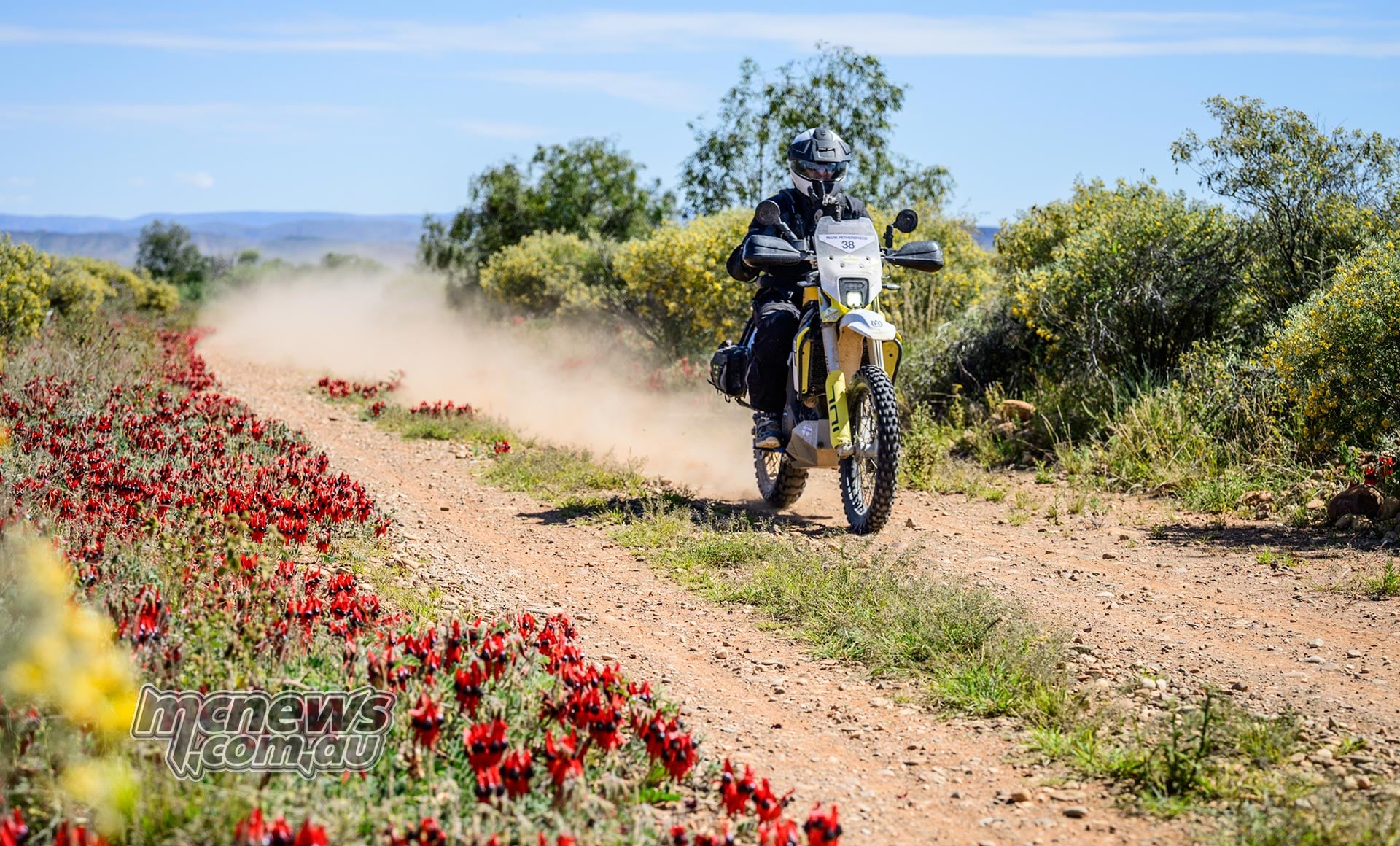 Husqvarna 701 Enduro rider follows a dusty trail bordered by red wildflowers and green shrubs.