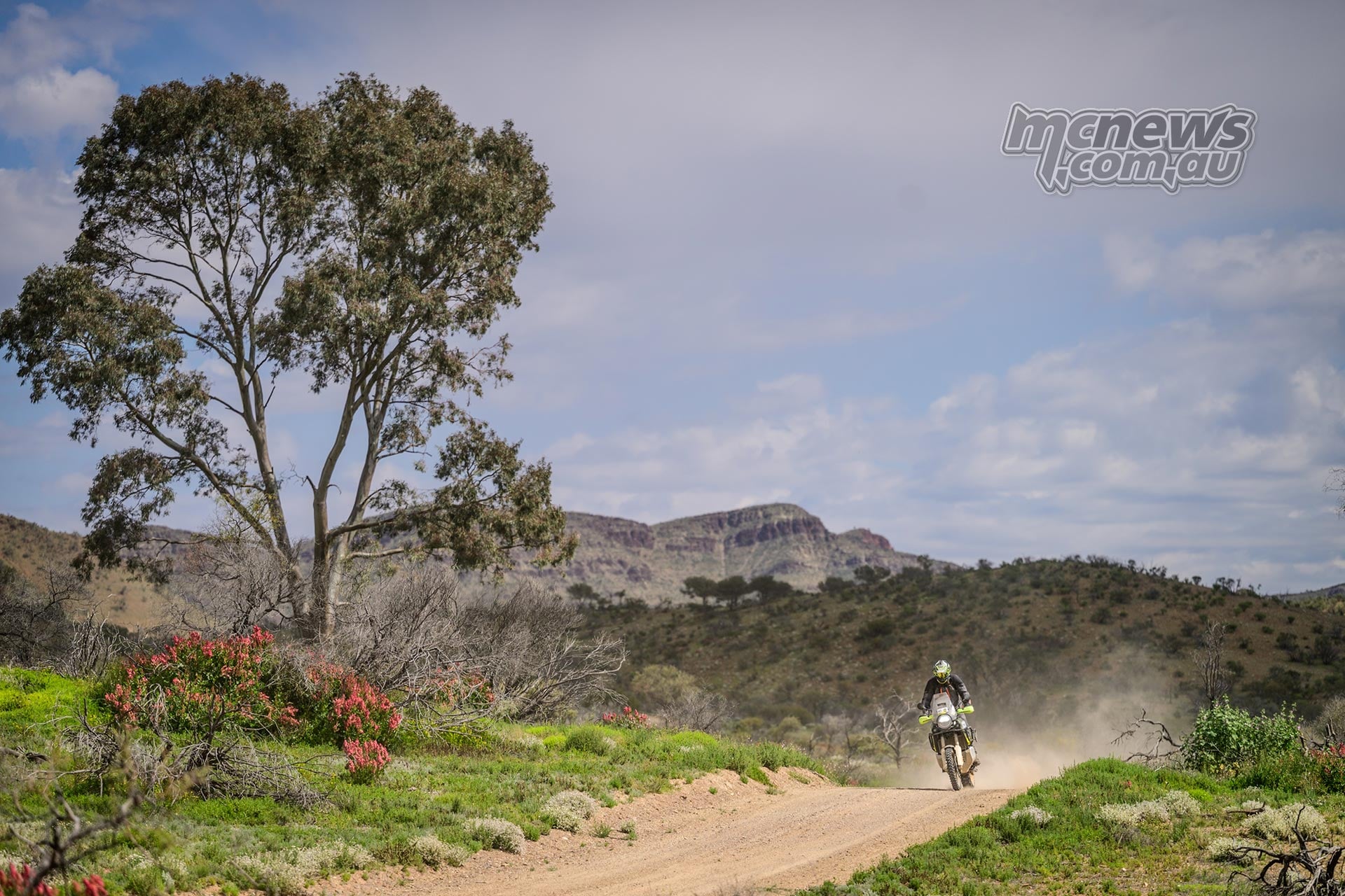 Husqvarna rider approaches along a dirt road bordered by green vegetation and red wildflowers in the Flinders Ranges.