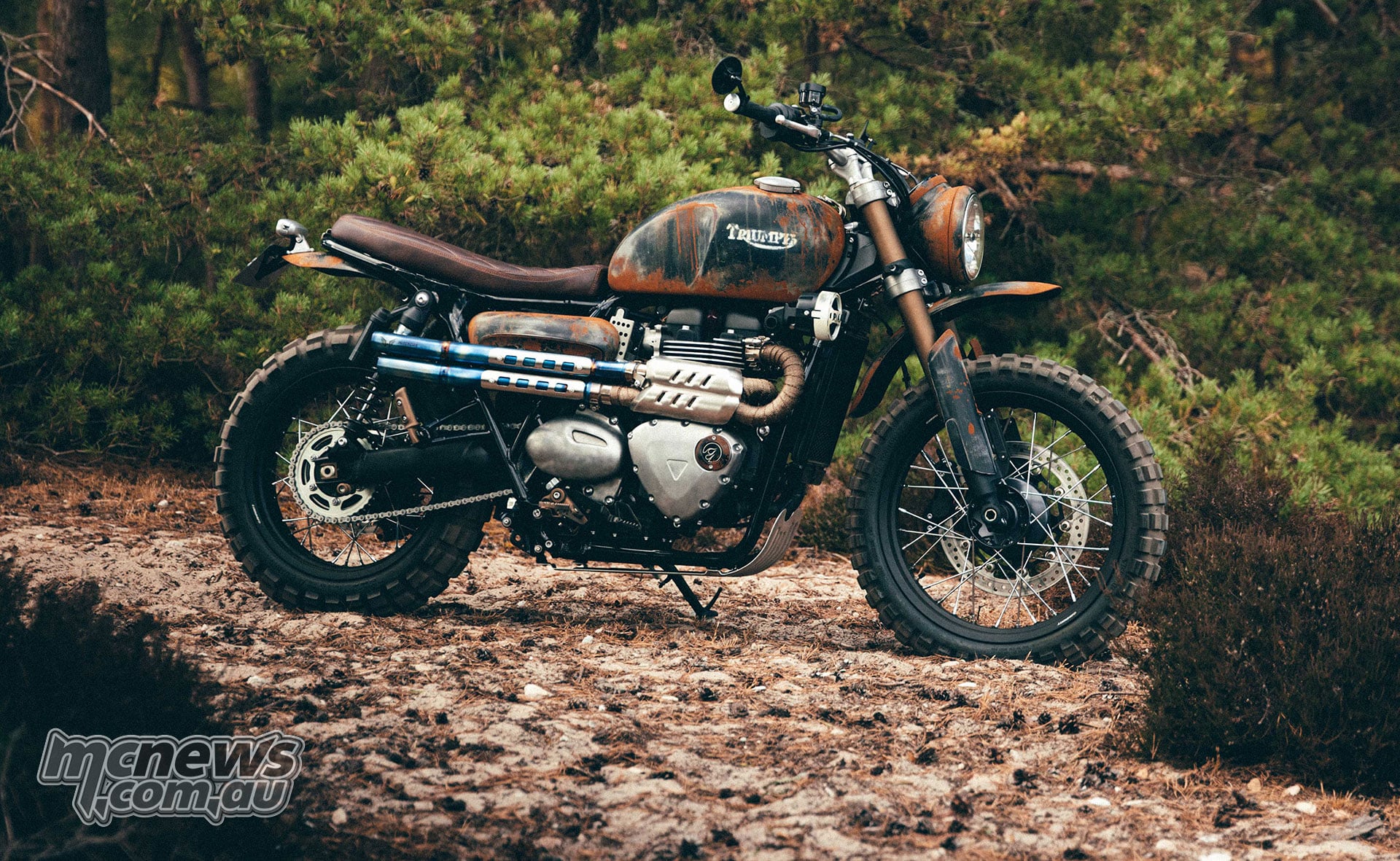 Stockwell Design Triumph Scrambler 900 with a weathered tank and brown seat, parked on a woodland trail.