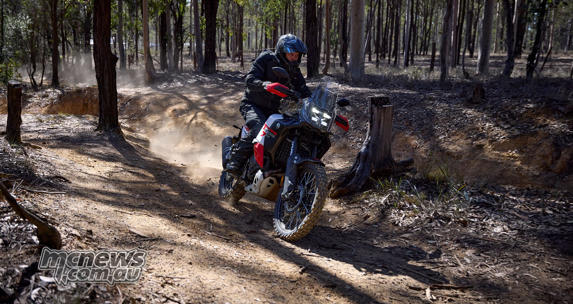 Rider guiding a Yamaha Ténéré 700 World Raid along an uneven dirt trail between trees.